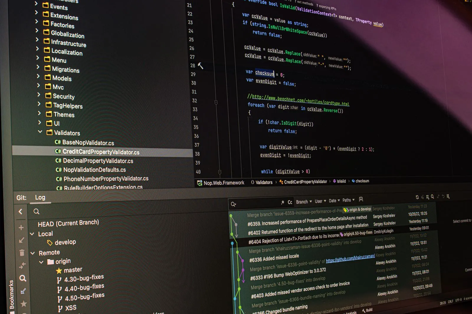 A developer building a custom REST or GraphQL API