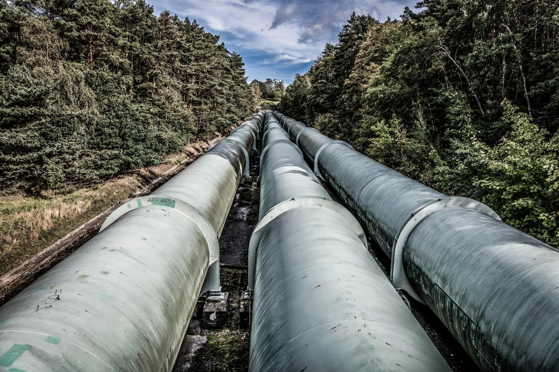 A CI/CD pipeline dashboard showing automated test suite results on every commit — Avaib