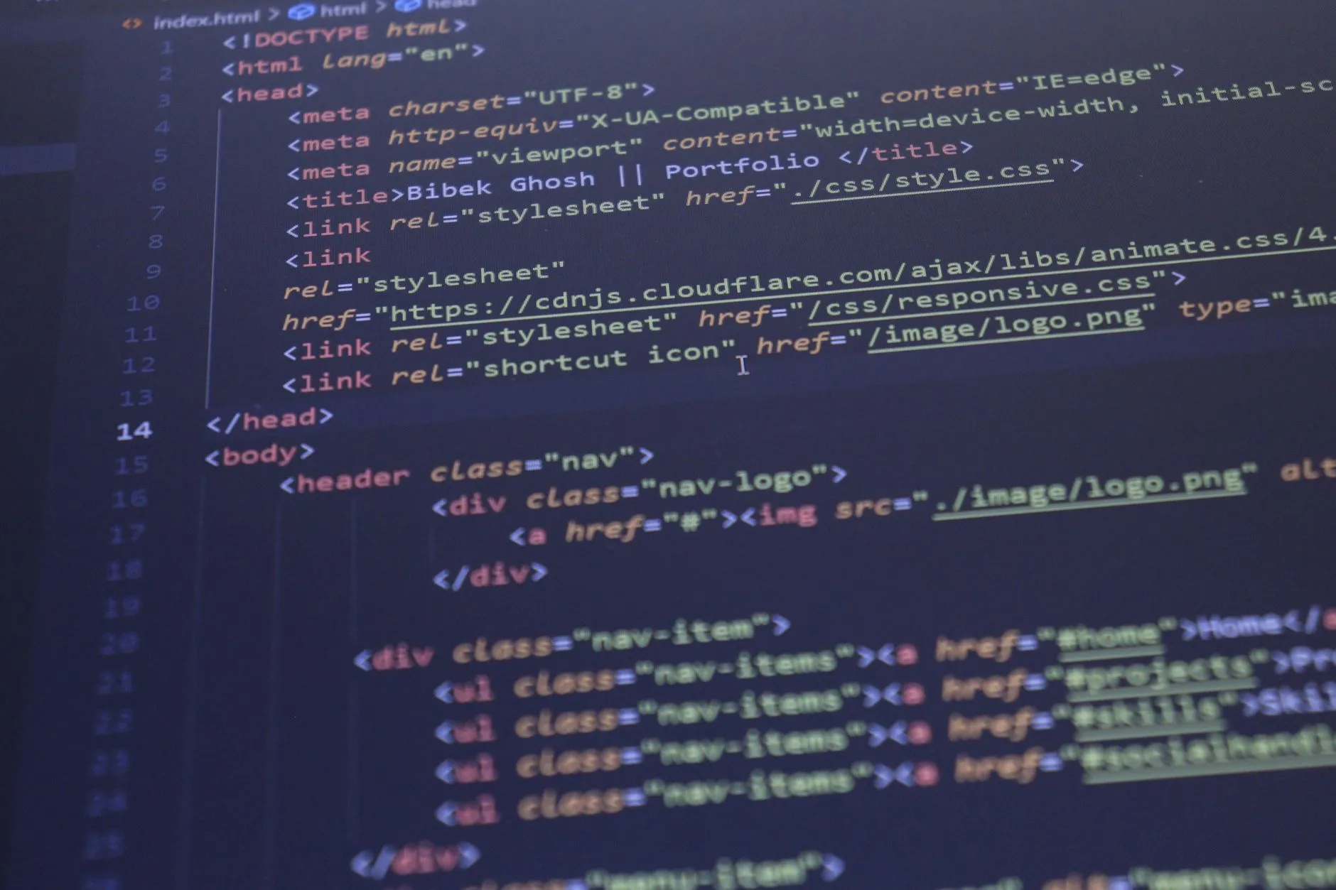 A developer working on a website content management system on a monitor — Avaib